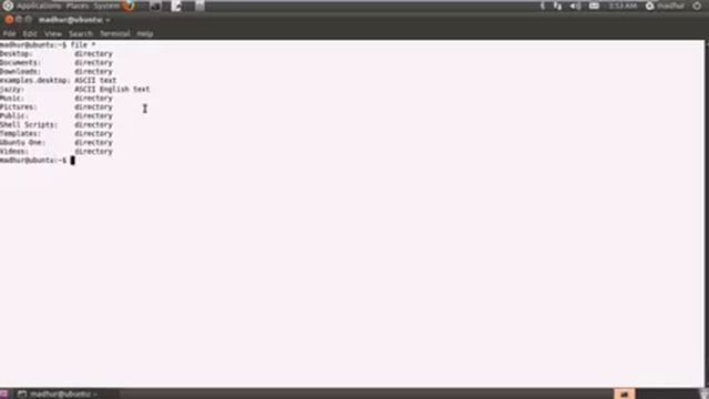 Shell Scripting Count Lines, Words & Characters Using 'wc' смотреть онлайн
