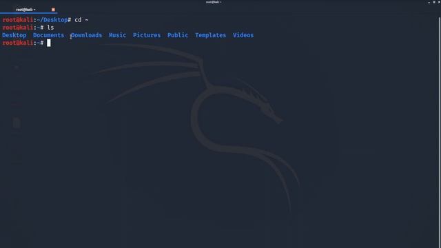 How to install wps office package or any package in kali linux operating system |All detail in hind смотреть онлайн