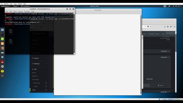 [HackTheBox] Finding Hidden Messages in Images смотреть онлайн