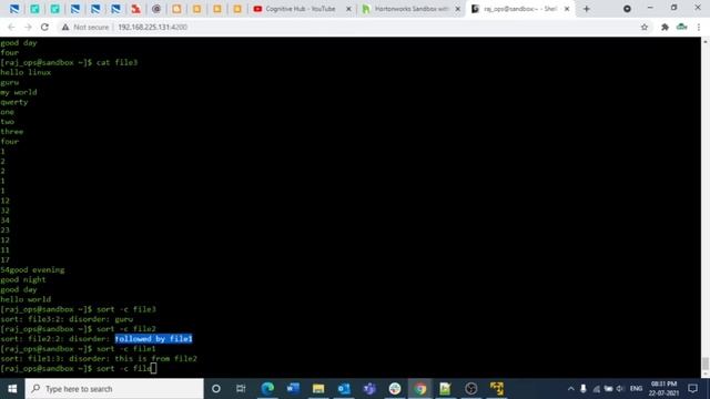 6. How to use sort and uniq commands in Linux l Sort l Uniq l Video-6 l Linux Commands смотреть онлайн
