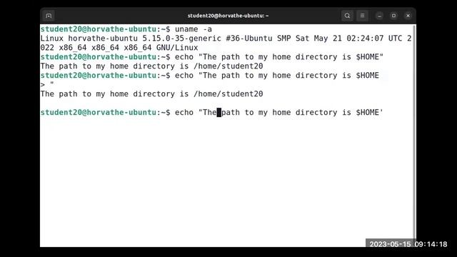 Introduction to Linux Commands смотреть онлайн
