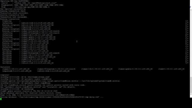 CLAMAV - Antivirus gratuito para Linux смотреть онлайн