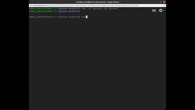 GNU/Linux - gestire file compressi con tar, gzip e bzip2 смотреть онлайн