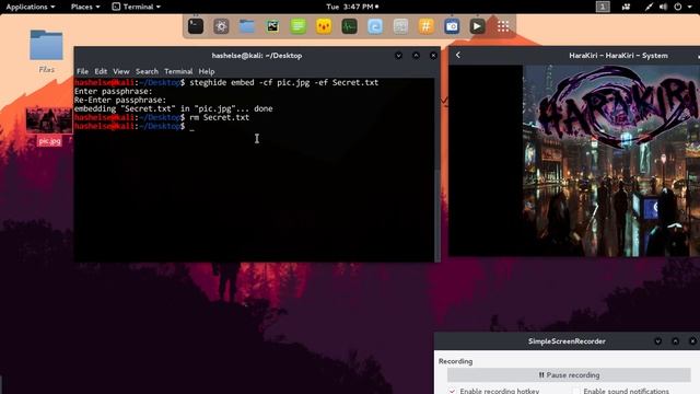 Steghide Tutorial/Demo смотреть онлайн