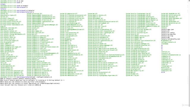 Mastering CI/CD with TeamCity and Octopus Deploy(19 Installing Octopus Deploy Tentacles on Ubuntu) смотреть онлайн