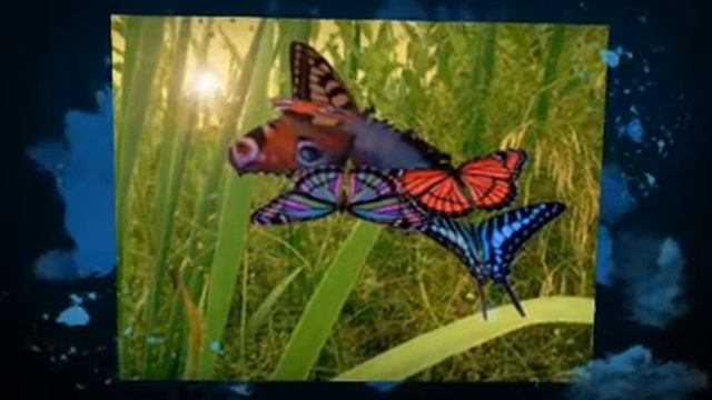 Free Screensavers смотреть онлайн