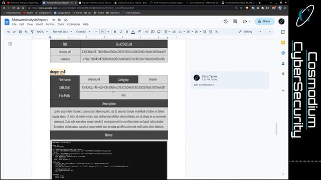 Malware Analysis Reporting...again :| смотреть онлайн