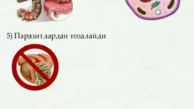 #АСАЛНЫ# ФОЙДАЛИ ХУСИСЯТЛАРЫ.ВИТАМИН ВА БОШКА...... смотреть онлайн