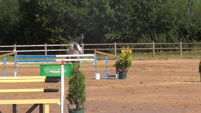 8 yr Stakkato x Cento x Quick Star смотреть онлайн
