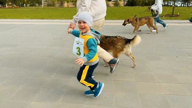 ДиноКросс смотреть онлайн