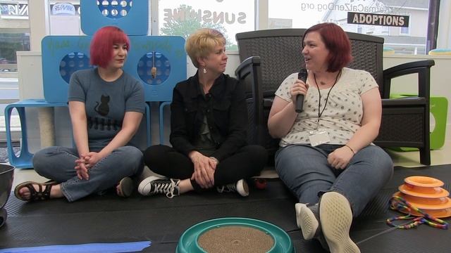 Magic 98.3's Debbie Mazella at Karma Cat & Zen Dog Rescue Society - Episode 11 смотреть онлайн
