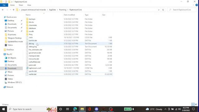 Apunto de perder todo mi Raptoreum. Wallet de RTM no sincroniza desde Mayo 9. смотреть онлайн