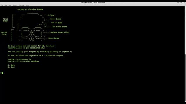 LEVIATHAN - KALI LINUX TOOL смотреть онлайн