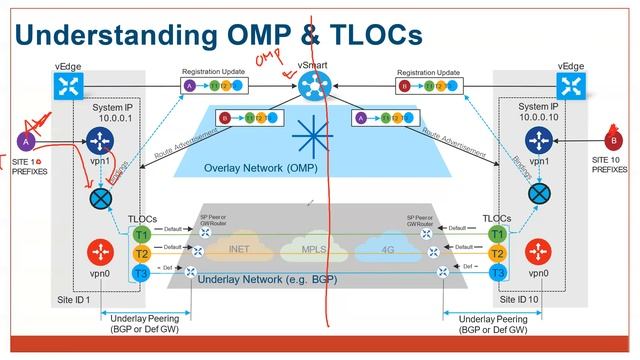 Day 07 - SD-WAN Control & Data Plane explained смотреть онлайн