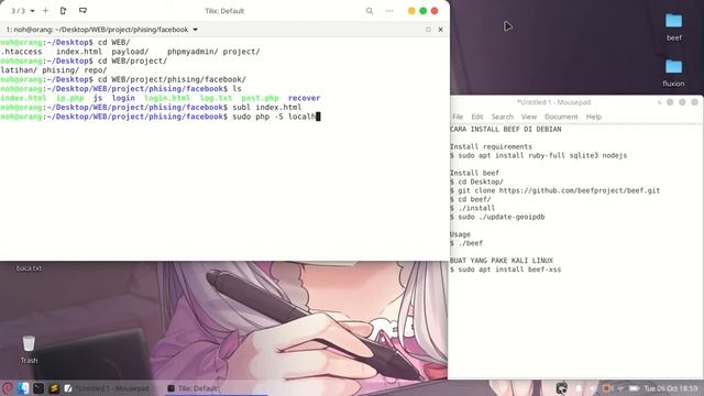 Browser Exploitation Over Wan смотреть онлайн