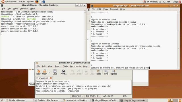 Diego Sanabria V Programación de Sockets Linux Ubuntu смотреть онлайн