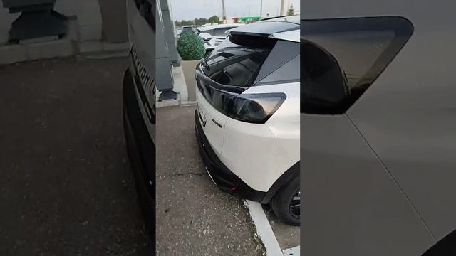 20 августа 2024 г.