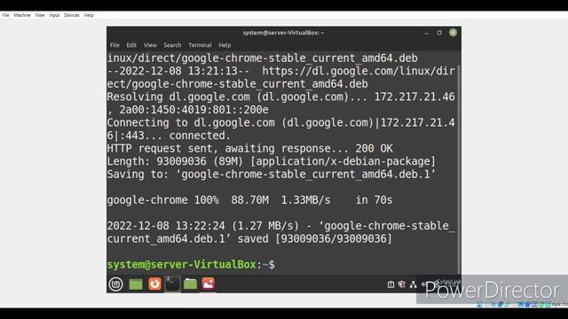 How to Install Google Chrome on Linux Mint 21 смотреть онлайн