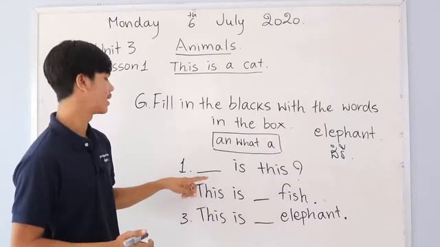 English Grade 4 Unit 3 Animals, Lesson 1 This is a cat (Session 2) смотреть онлайн