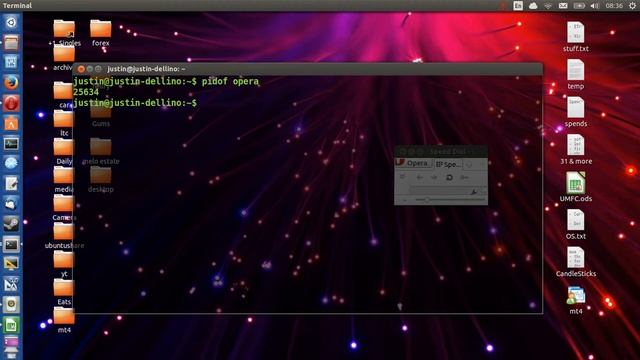 Kill programs in Ubuntu 13.10 (or Linux Mint!) смотреть онлайн