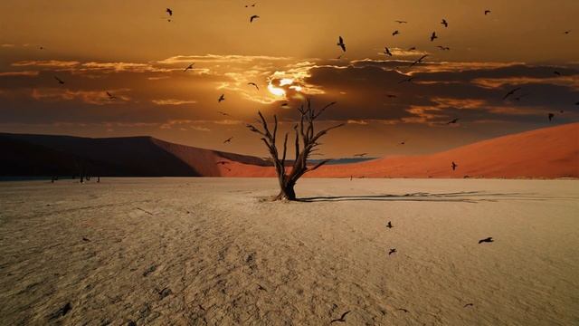 Долетел лирик видео