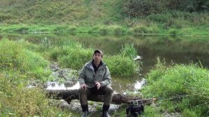 Что может свич 2часть