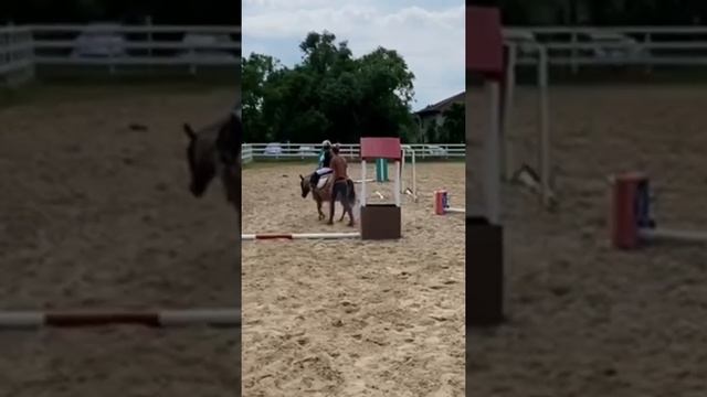 Соревнования - это настоящий праздник для всех участников! смотреть онлайн