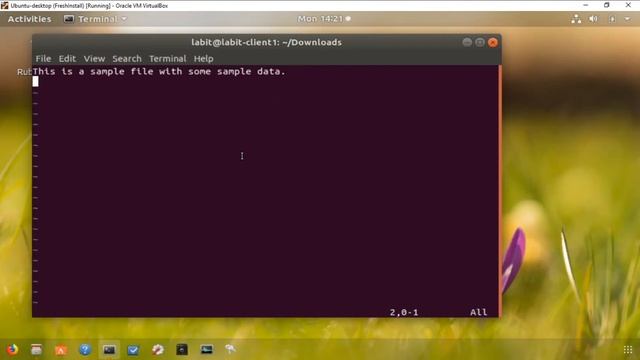 How to delete Text in VI editor | Vi editor tutorial | Linux Tutorial смотреть онлайн