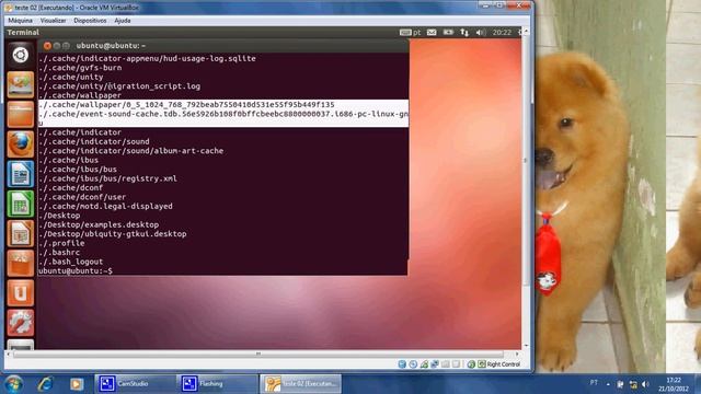 23 comandos basicos linux смотреть онлайн