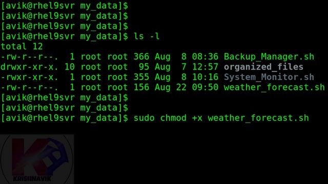 Linux Shell Script Project: Weather Forecast | Your Personalized Weather Updates! смотреть онлайн