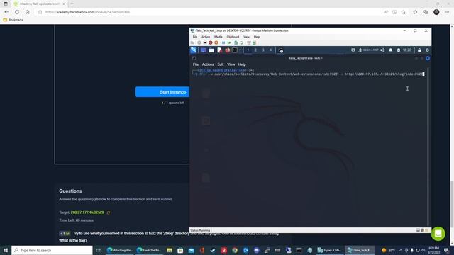 HTB Academy: Attacking Web Applications With FFUF - Page Fuzzing смотреть онлайн