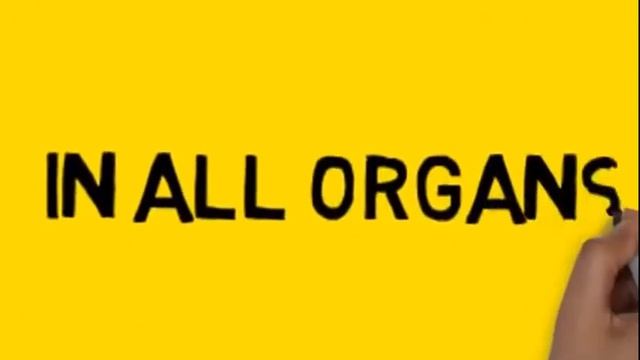 Free Windows VPS Server смотреть онлайн