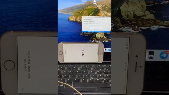 How to bypass #ios #12.4.8 ios #13.6 bypass смотреть онлайн