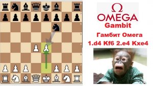 Побеждай в 15 ходов! Гамбит Омега (Omega Gambit)