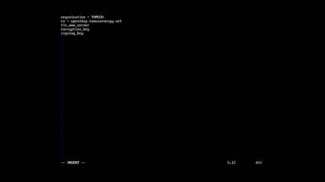 Secure OpenLDAP with TLS смотреть онлайн