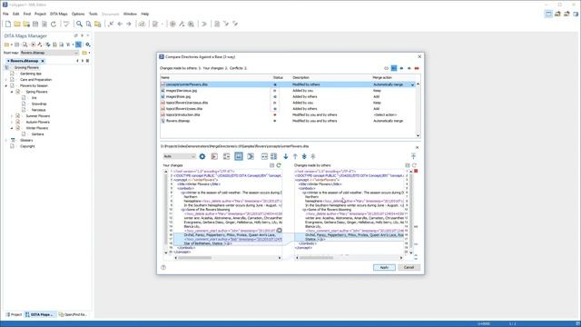 Compare and Merge Directories Against a Common Base in Oxygen XML Editor 19 смотреть онлайн