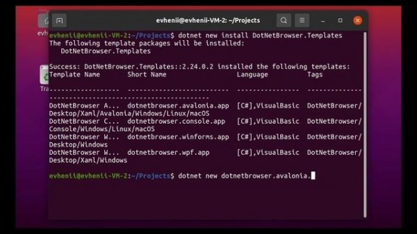 How to launch DotNetBrowser with Avalonia UI on Linux