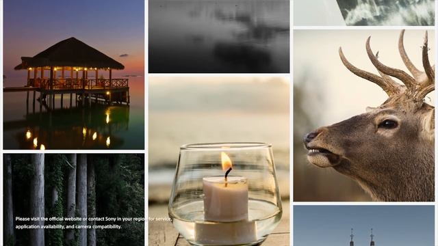 Sony | Discover, share and get inspired with Creators’ Cloud | Creators' Cloud смотреть онлайн