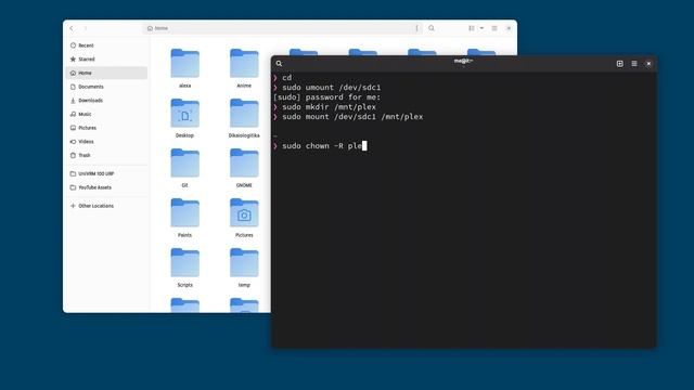 Setting a Plex server on Linux (for trying Girens GTK4 port!) смотреть онлайн