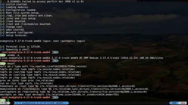 Super quick demo of eudyptula-boot смотреть онлайн