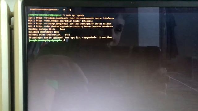 I fixed the sudo apt update command on my chromebook! смотреть онлайн