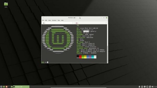 Linux Mint 20.3: (XFCE Edition) Beta Version