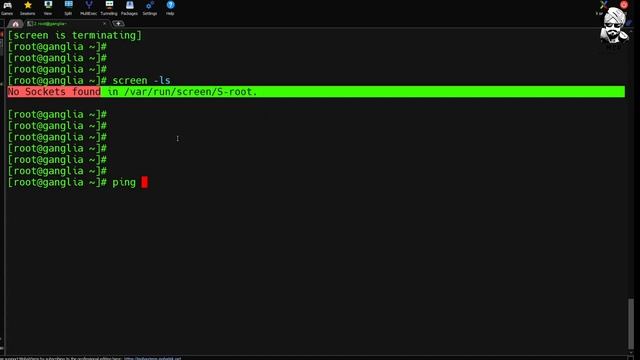How to Use the Linux Screen Command | Install, Create Multiple Shell Sessions | Why & How Guide смотреть онлайн