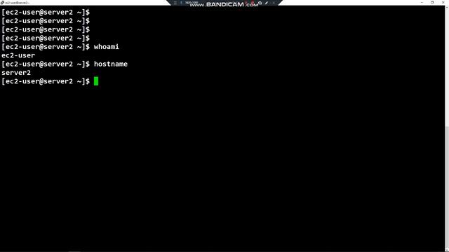 Linux Tutorial - 1. Using the Shell Prompt смотреть онлайн