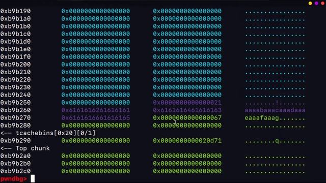 Heap Overflow Tcache || Binary Exploitation - 0x19 смотреть онлайн