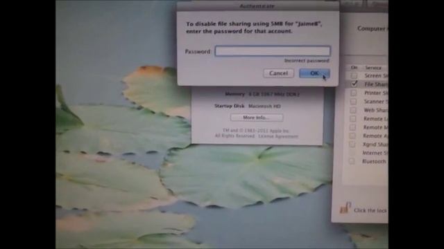 OSX Lion: Home Share Access Problem... NOT SMB/CIFS ISSUE. смотреть онлайн
