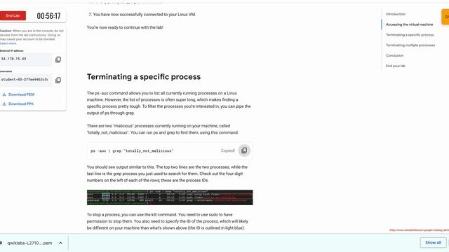 Maintaining Efficient Process Utilization on Linux|| #qwiklabs || #coursera смотреть онлайн